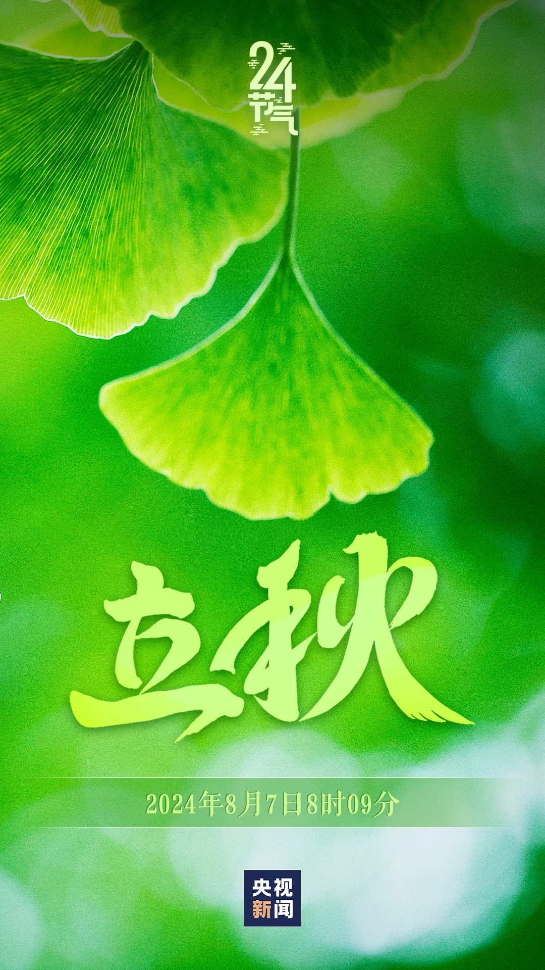 今日，立秋